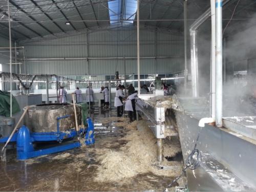 ���׈��O����������׈����w�O����ղ��